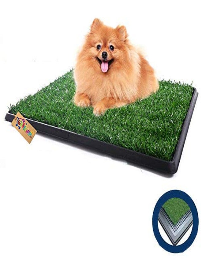 ويستيرن إرا حصيرة تدريب الكلاب والقطط على استخدام المرحاض من العشب الصناعي من ويسترن إيرا، مناسبة للتدريب الداخلي والخارجي (مجموعة واحدة من 3 قطع) - Image 1